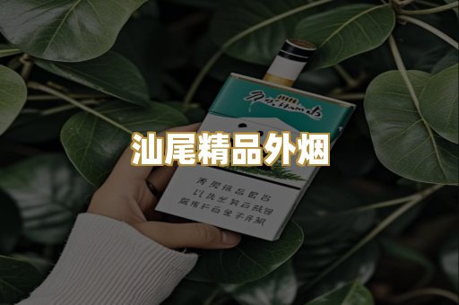 汕尾精品外烟